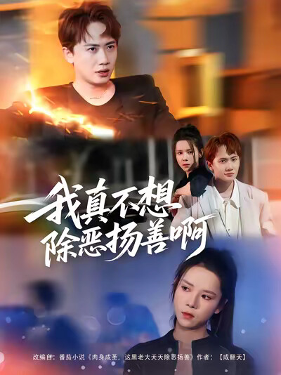 《我真不想除恶扬善啊》剧照