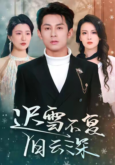 《迟雪不复旧云深》剧照