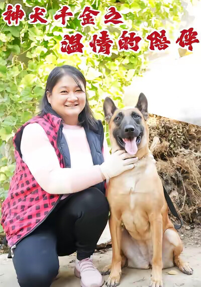 《神犬千金之温情的陪伴》剧照