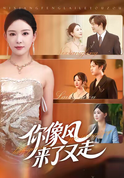 《你像风来了又走》剧照