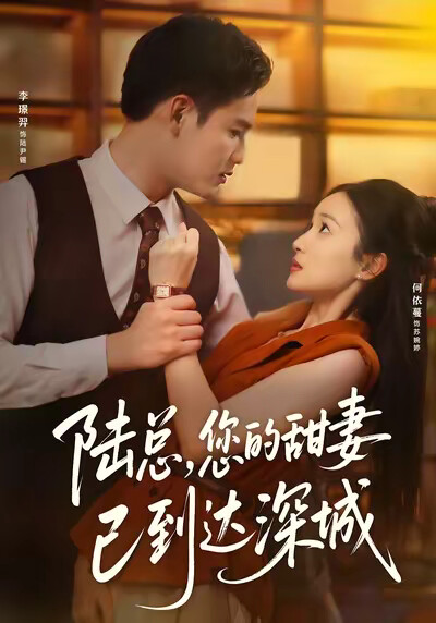 《陆总，您的甜妻已到达深城》剧照