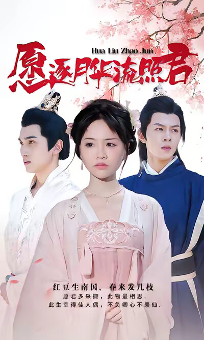 《愿逐月华流照君》剧照