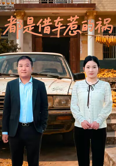 《都是借车惹的祸》剧照