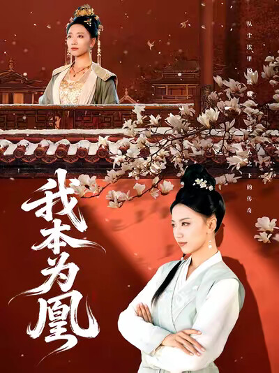 《我本为凰》剧照