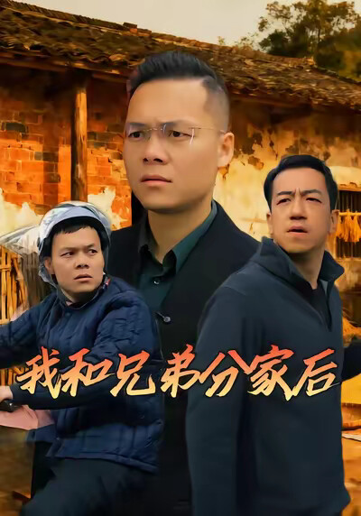 《我和兄弟分家后》剧照