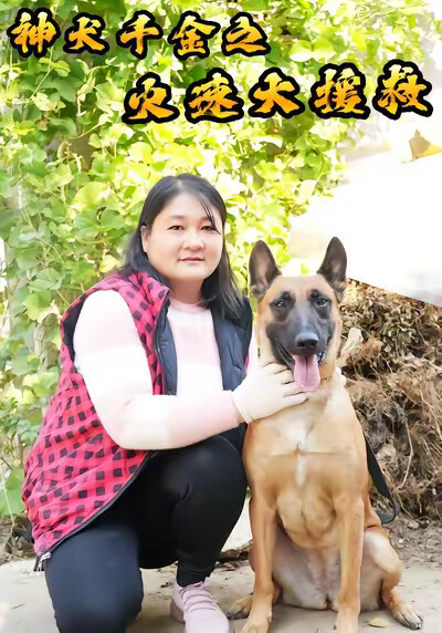 《神犬千金之火速大援救》剧照