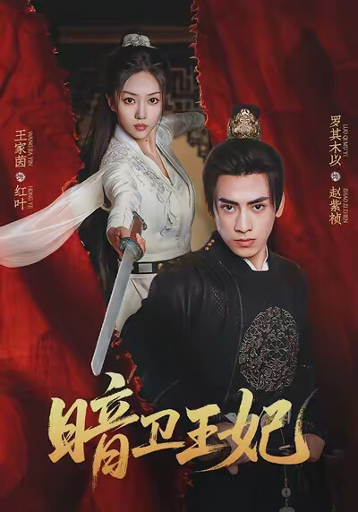 《暗卫王妃》剧照