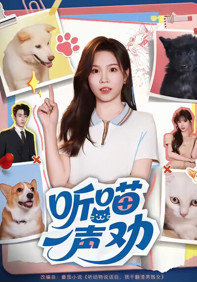 《听喵一声劝》剧照