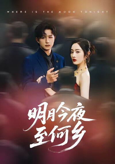 《明月今夜至何乡》剧照