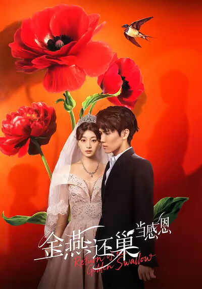 《金燕还巢当感恩》剧照