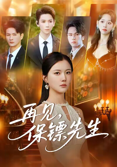 《再见，保镖先生》剧照