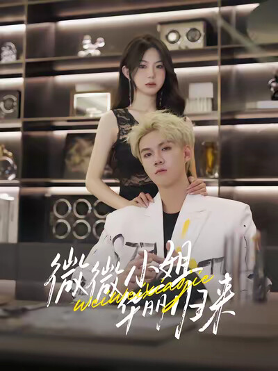 《微微小姐华丽归来》剧照