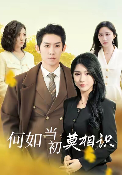 《何如当初莫相识》剧照