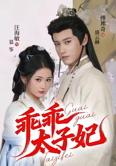 《乖乖太子妃》剧照