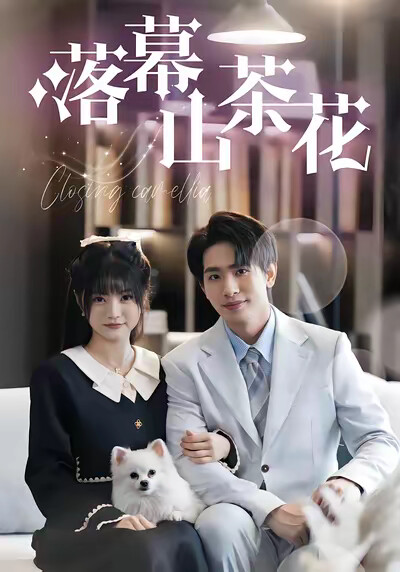 《落幕山茶花》剧照