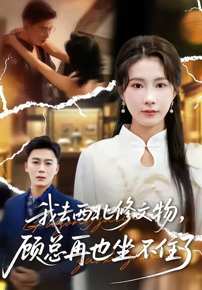 《我去西北修文物，顾总再也坐不住了》剧照