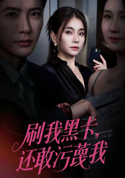 《刷我黑卡，还敢污蔑我》剧照