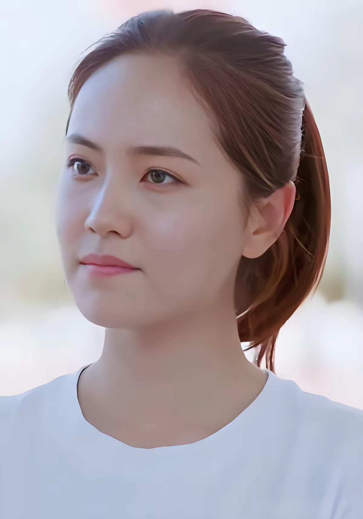 《一只贾小蝶》剧照