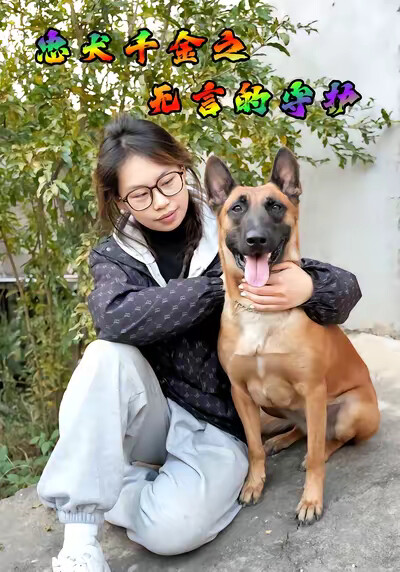 《忠犬千金之无言的守护》剧照