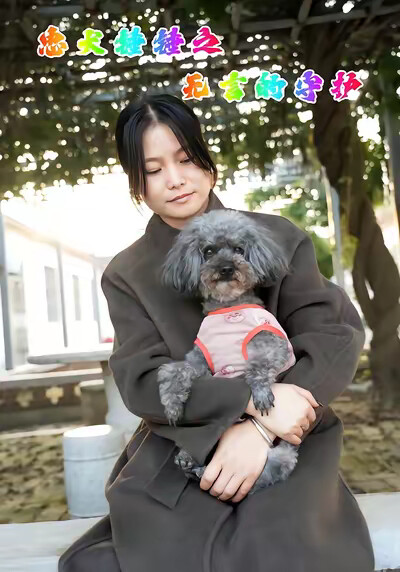 《忠犬锤锤之无言的守护》剧照