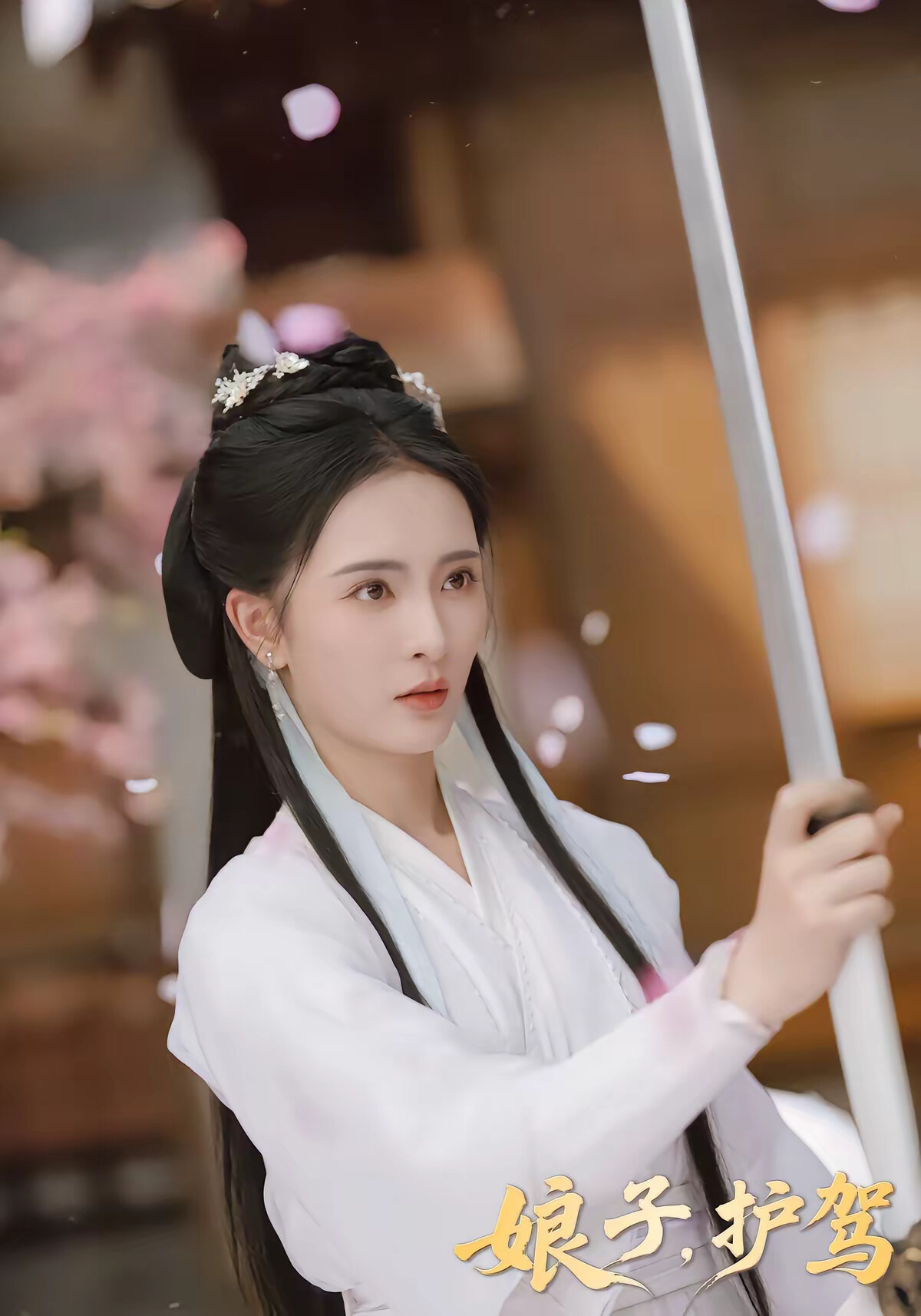 《娘子，护驾》剧照