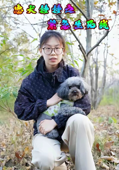 《忠犬锤锤之紧急生死线》剧照