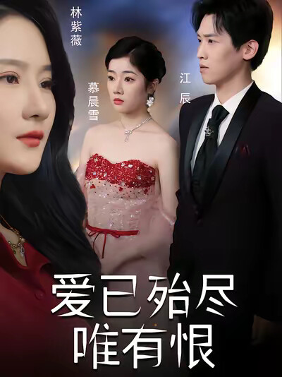 《爱已殆尽唯有恨》剧照