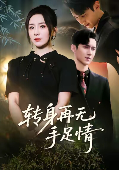 《转身再无手足情》剧照