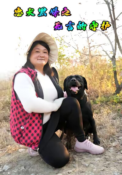 《忠犬黑妹之无言的守护》剧照