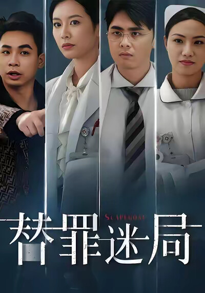 《替罪迷局》剧照