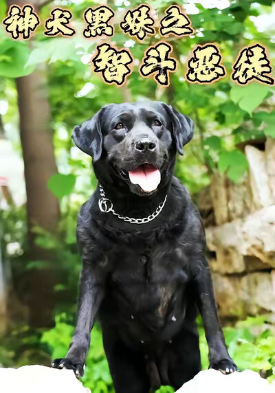 《神犬黑妹之智斗恶徒》剧照