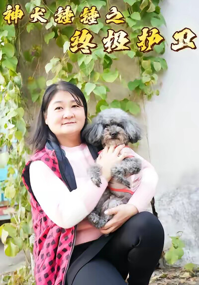 《神犬锤锤之终极护卫》剧照