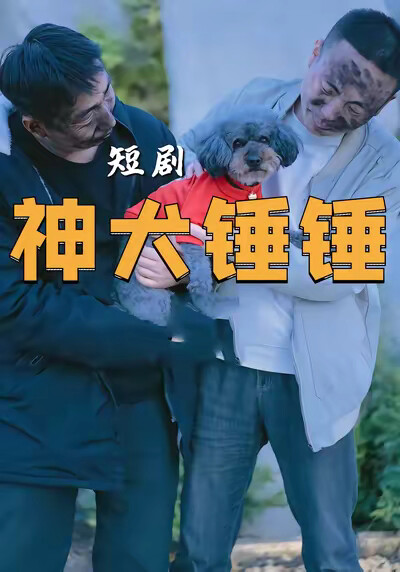 《神犬锤锤》剧照