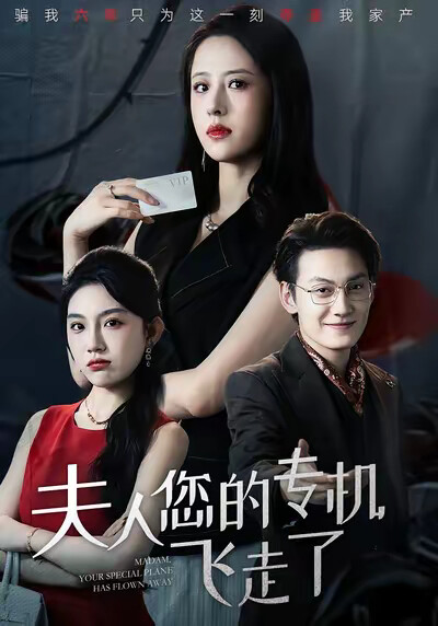 《夫人您的专机飞走了》剧照