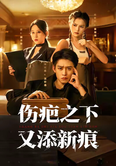 《伤疤之下又添新痕》剧照