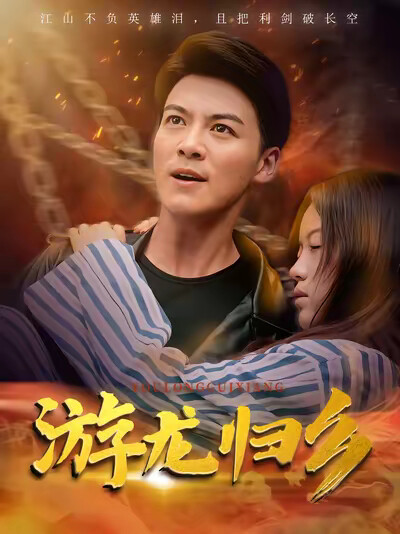 《游龙归乡》剧照