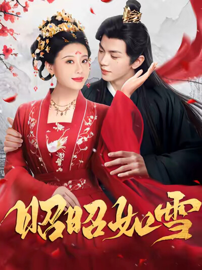 《昭昭如雪》剧照