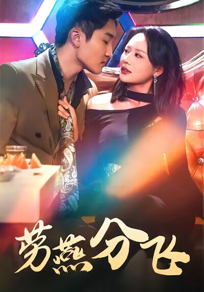 《劳燕分飞》剧照