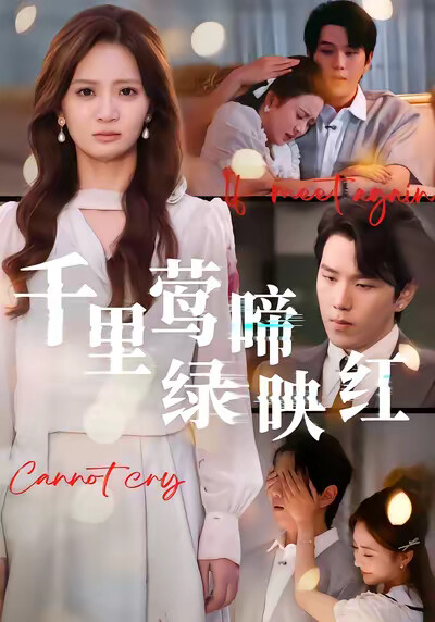 《千里莺啼绿映红》剧照