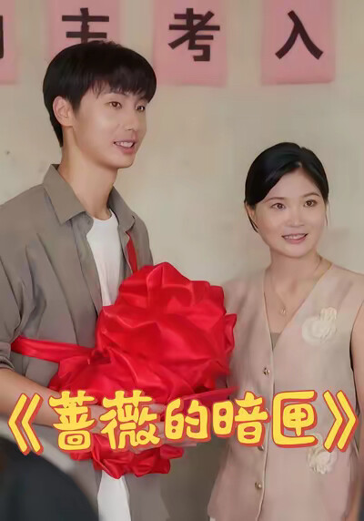 《蔷薇的暗匣》剧照