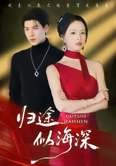 《归途似海深》剧照