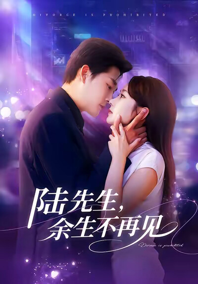 《陆先生，余生不再见》剧照