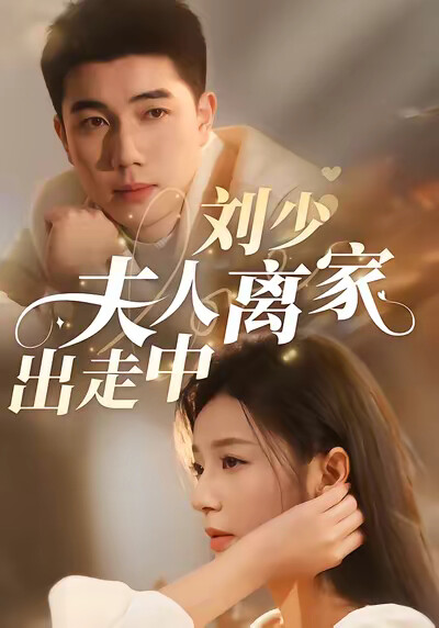《刘少，夫人离家出走中》剧照