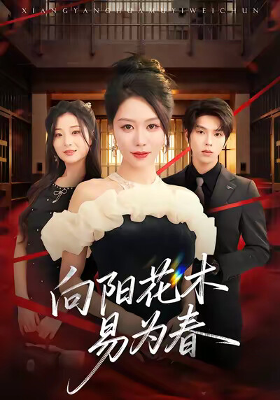 《向阳花木易为春》剧照