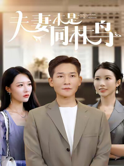 《夫妻本是同林鸟》剧照