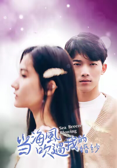 《当海风吹过我的婚纱》剧照