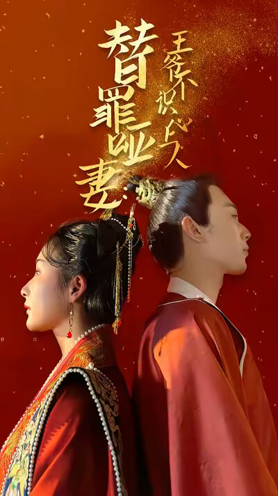 《替罪哑妻：王爷不识心上人》剧照