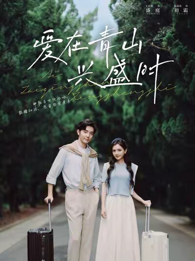 《爱在青山兴盛时》剧照