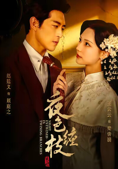 《夜色缠枝》剧照