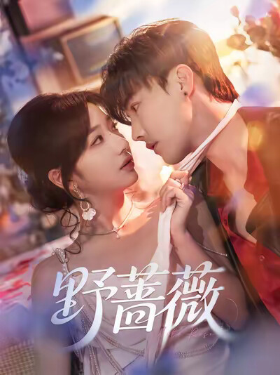 《野蔷薇》剧照